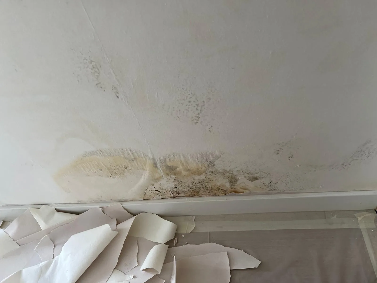 Mur intérieur marqué par l’humidité avant reprise du support